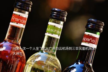 問第一次一個(gè)人坐飛機(jī)從廣州白云機(jī)場到三亞鳳凰機(jī)場求大神告
