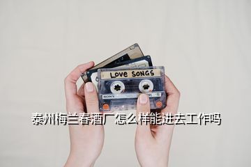 泰州梅蘭春酒廠怎么樣能進(jìn)去工作嗎