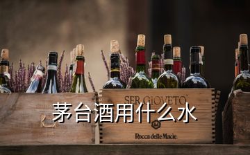 茅臺(tái)酒用什么水