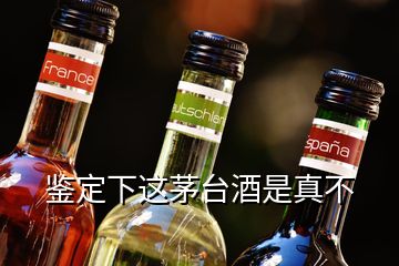 鑒定下這茅臺(tái)酒是真不