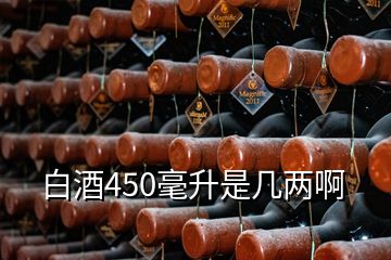 白酒450毫升是幾兩啊