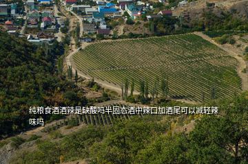 純糧食酒酒辣是缺酸嗎半固態(tài)酒中辣口加酒尾可以減輕辣味嗎