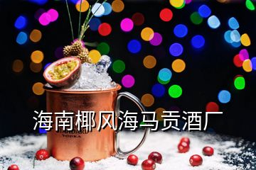 海南椰風(fēng)海馬貢酒廠