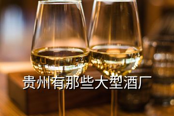 貴州有那些大型酒廠