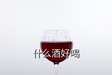 什么酒好喝