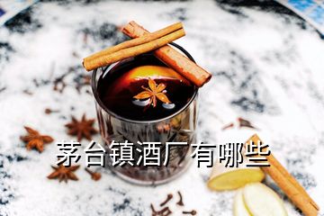 茅臺鎮(zhèn)酒廠有哪些