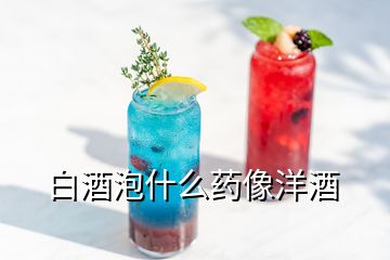 白酒泡什么藥像洋酒