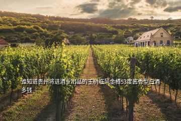 誰知道貴州將進酒業(yè)出品的玉樹臨風(fēng)金樽53度醬香型白酒多錢