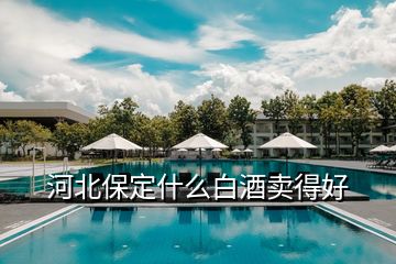 河北保定什么白酒賣得好