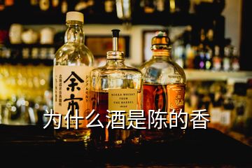 為什么酒是陳的香