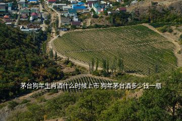 茅臺(tái)狗年生肖酒什么時(shí)候上市 狗年茅臺(tái)酒多少錢(qián)一瓶