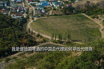 我是做德國啤酒的中國總代理如何尋找代理商