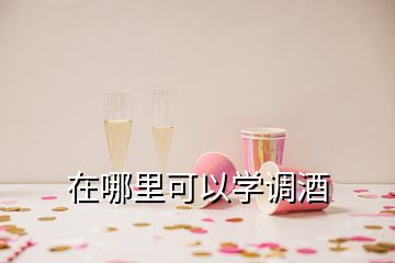 在哪里可以學(xué)調(diào)酒