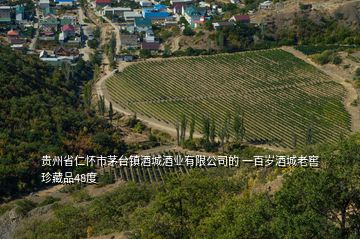 貴州省仁懷市茅臺鎮(zhèn)酒城酒業(yè)有限公司的 一百歲酒城老窖珍藏品48度