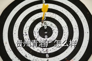 貴州青酒廠怎么樣