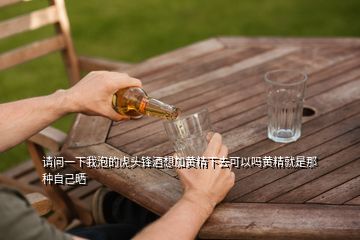 請問一下我泡的虎頭鋒酒想加黃精下去可以嗎黃精就是那種自己曬