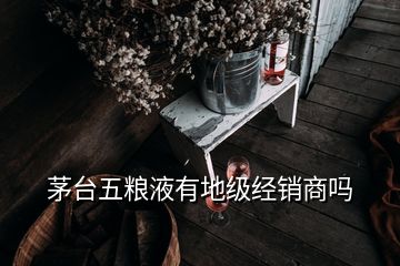 茅臺(tái)五糧液有地級(jí)經(jīng)銷(xiāo)商嗎