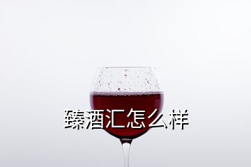 臻酒匯怎么樣