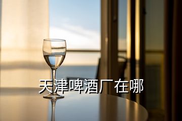 天津啤酒廠在哪