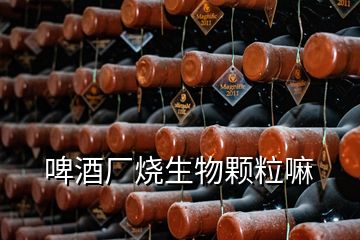 啤酒廠燒生物顆粒嘛