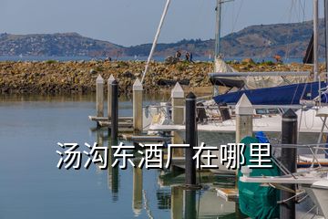 湯溝東酒廠在哪里