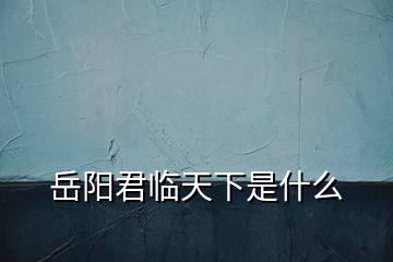 岳陽(yáng)君臨天下是什么