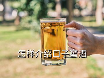 怎樣介紹口子窖酒