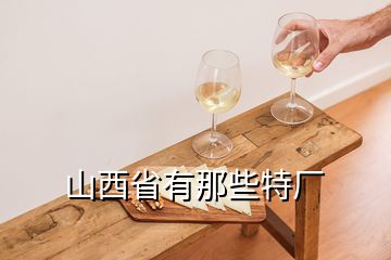 山西省有那些特廠