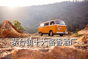 茅臺(tái)鎮(zhèn)十大醬香酒廠