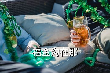 福金溝在那