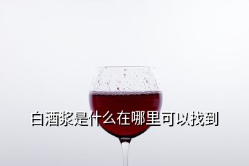 白酒漿是什么在哪里可以找到