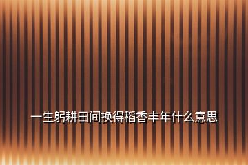 一生躬耕田間換得稻香豐年什么意思