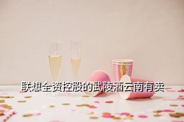 聯(lián)想全資控股的武陵酒云南有賣