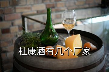 杜康酒有幾個廠家