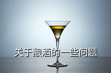 關(guān)于釀酒的一些問題