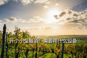 開(kāi)個(gè)小型釀酒廠需要用什么設(shè)備