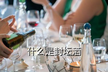 什么是封壇酒