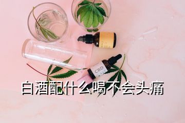 白酒配什么喝不會(huì)頭痛