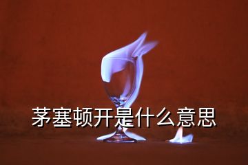 茅塞頓開是什么意思