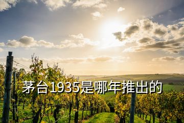 茅臺1935是哪年推出的