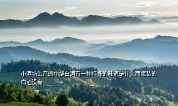 小酒坊生產的小燒白酒有一種特殊的味道是什么而瓶裝的白酒沒有