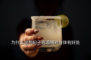 為什么說枸杞子泡酒喝對身體有好處