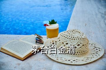 茅臺白金酒