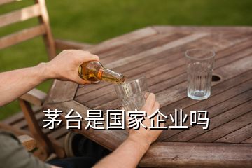 茅臺(tái)是國(guó)家企業(yè)嗎