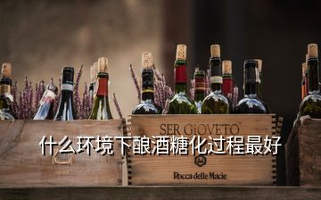 什么環(huán)境下釀酒糖化過程最好