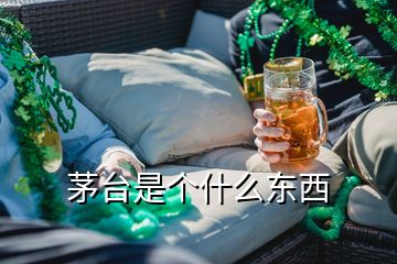 茅臺(tái)是個(gè)什么東西