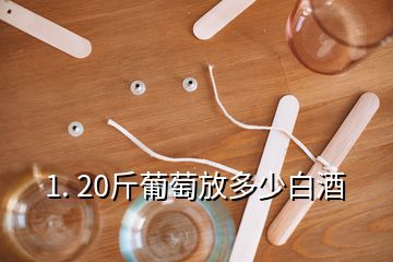 1. 20斤葡萄放多少白酒