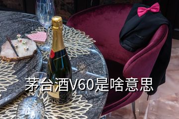 茅臺(tái)酒V60是啥意思