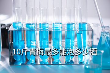 10斤青梅最多能泡多少酒