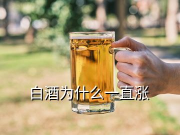 白酒為什么一直漲